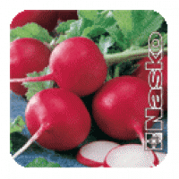 Семена редиса МАРТА